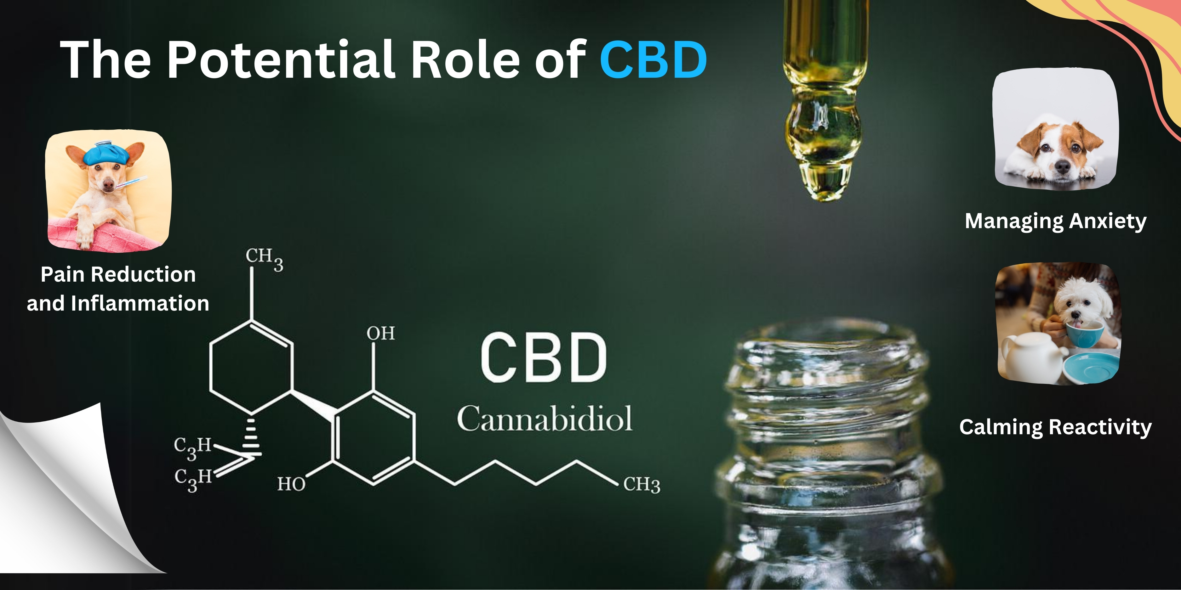 cbd oil India